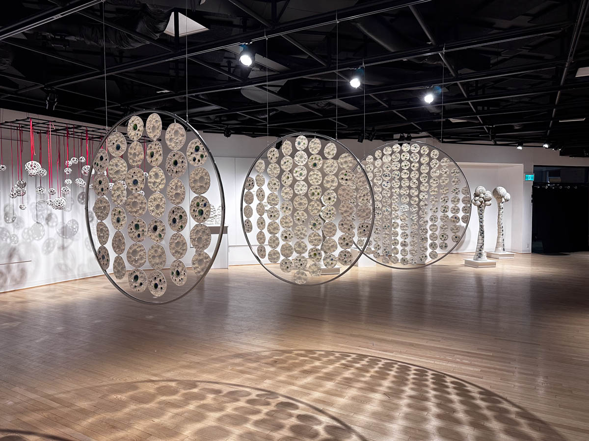 2024 – Galerie Montcalm, Gatineau – Les mondes invisibles