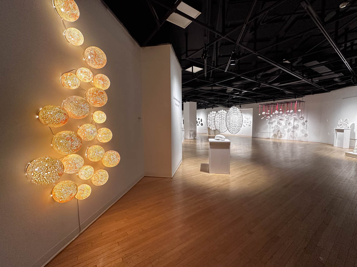 2024 – Galerie Montcalm, Gatineau – Les mondes invisibles